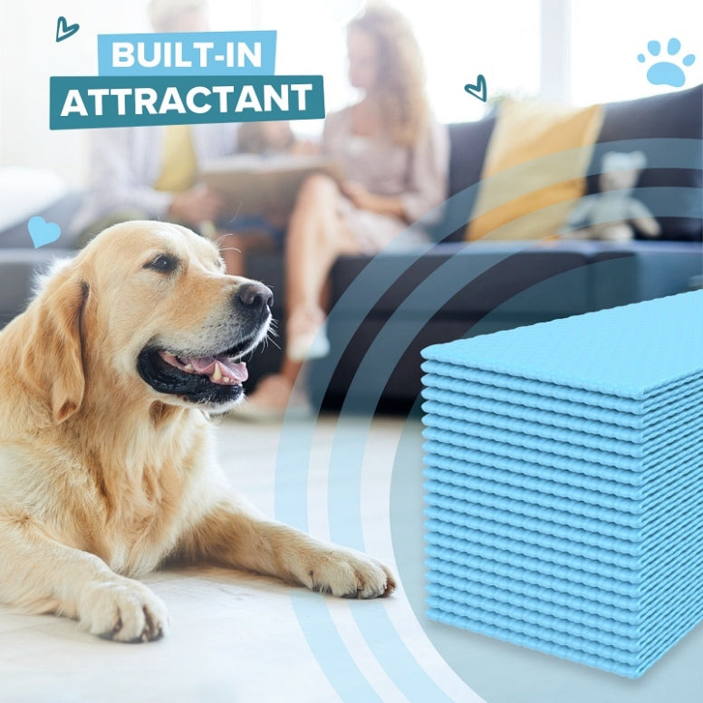 PetCellence XXL puppy pee pads compared with a standard size pad