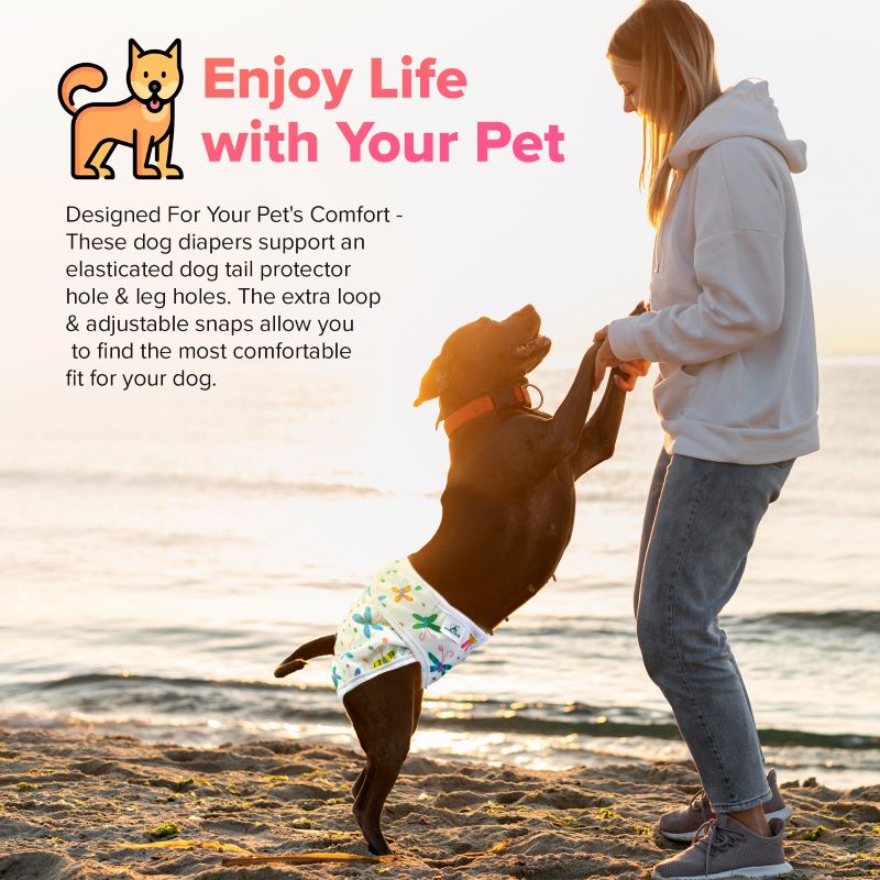 PetCellence dog period nappies, moisture-wicking jersey lining