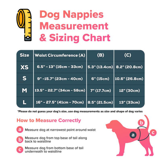 How to Measure Your Dog for a Nappy