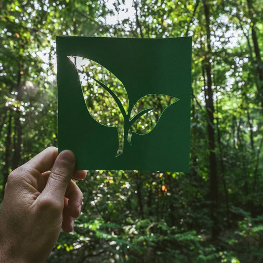 Trees in the background a men is holding eco friendly card made in shape of leaf 