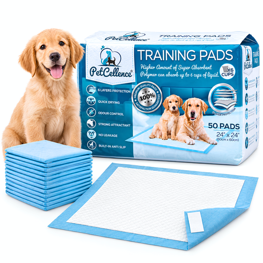 Puppy Training Pads 50 Pack | Large 60x60cm Dog Pee Pads