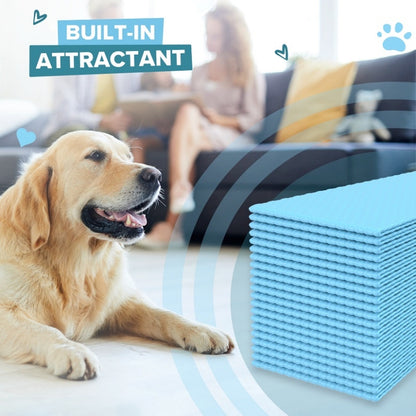 PetCellence XXL puppy pee pads compared with a standard size pad