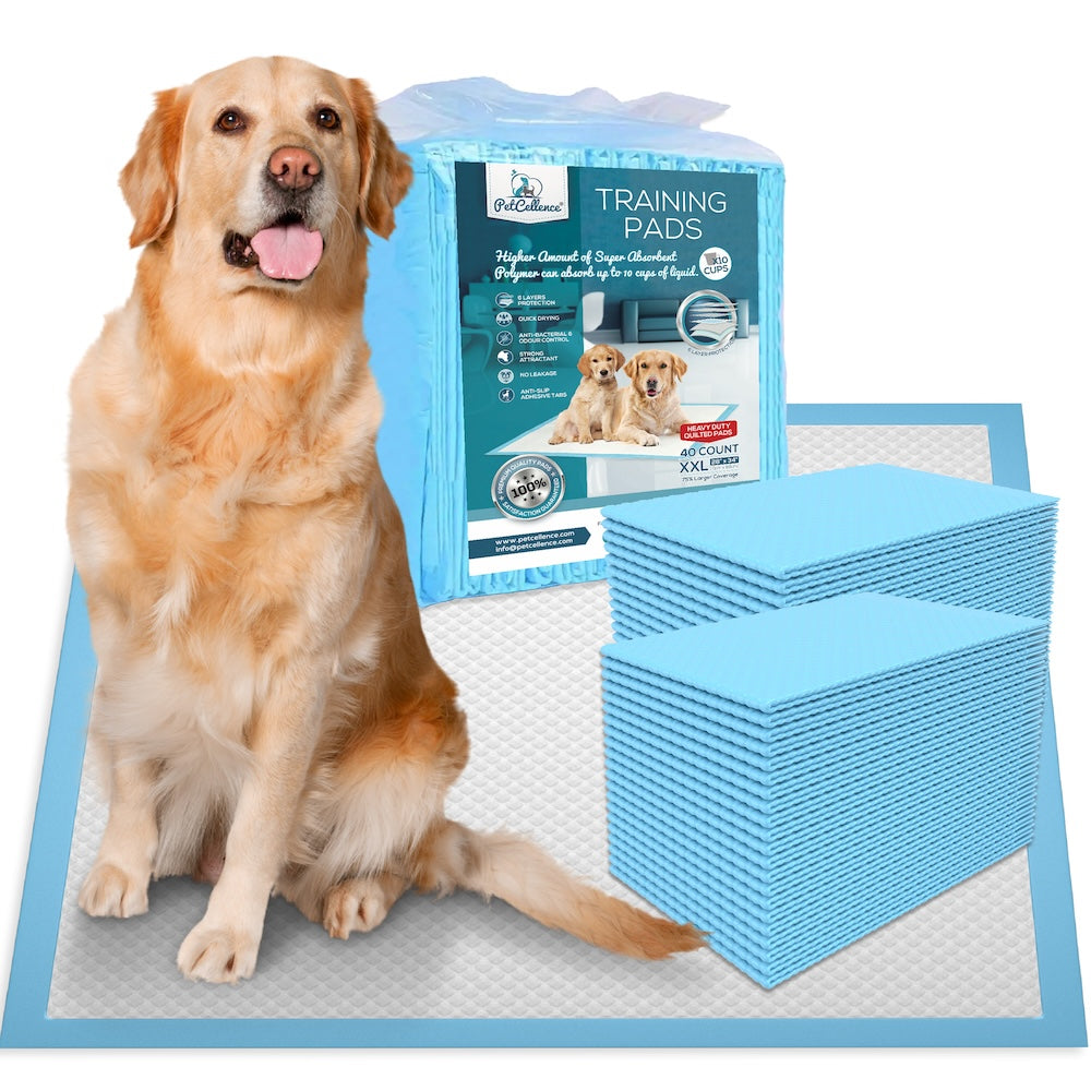 PetCellence XXL puppy pads, 40 pack, 71 x 86cm