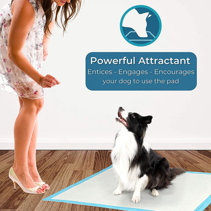PetCellence puppy training pads, leak-proof backing