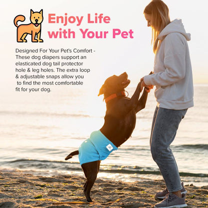 PetCellence washable dog nappies, five-layer leak protection