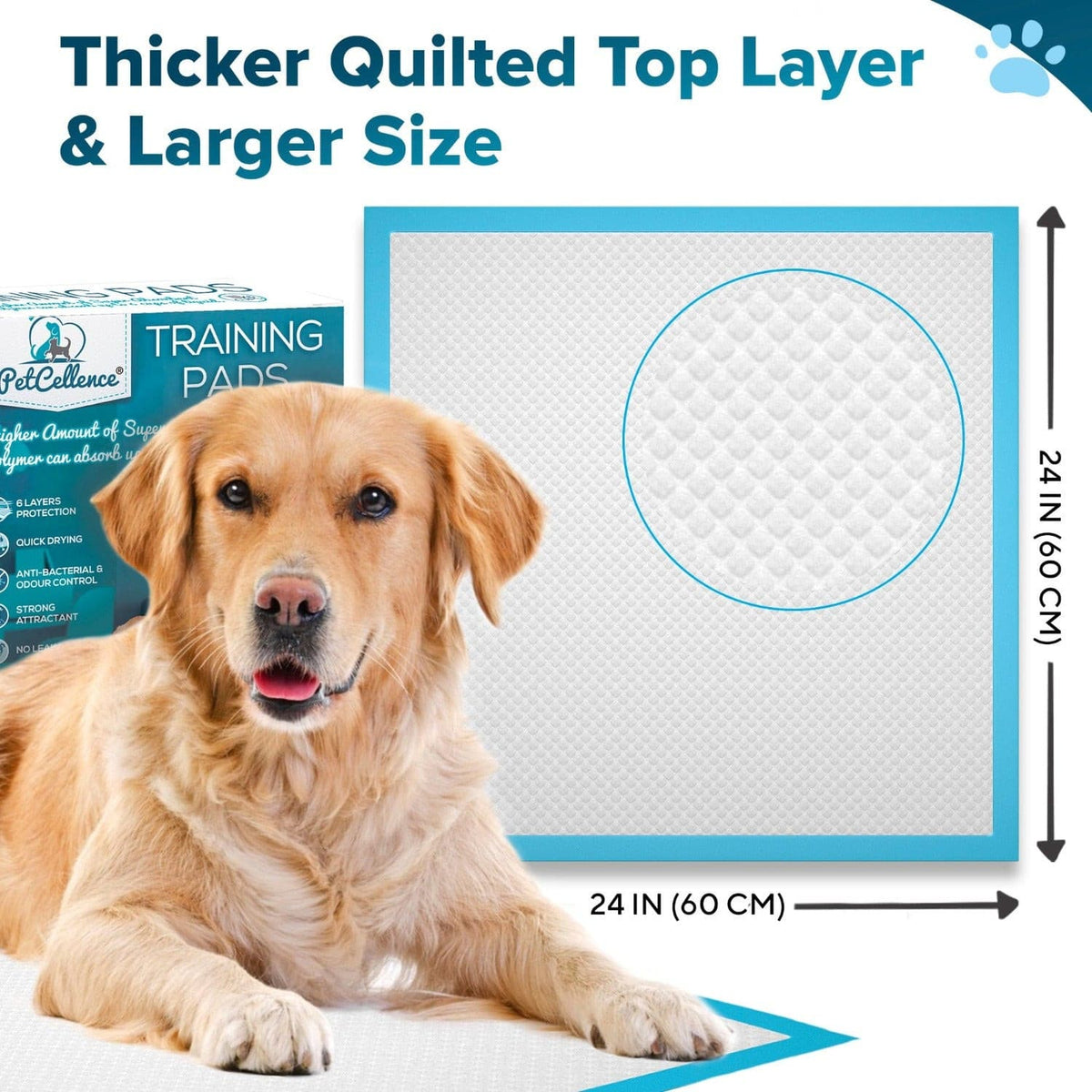 Size of a PetCellence puppy pad, 60 x 60cm