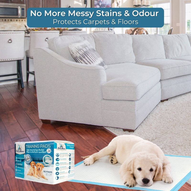 PetCellence puppy training pads in use at home