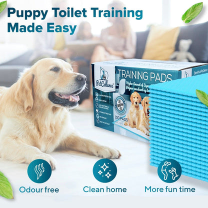 PetCellence puppy pads 100 pack in use for toilet training
