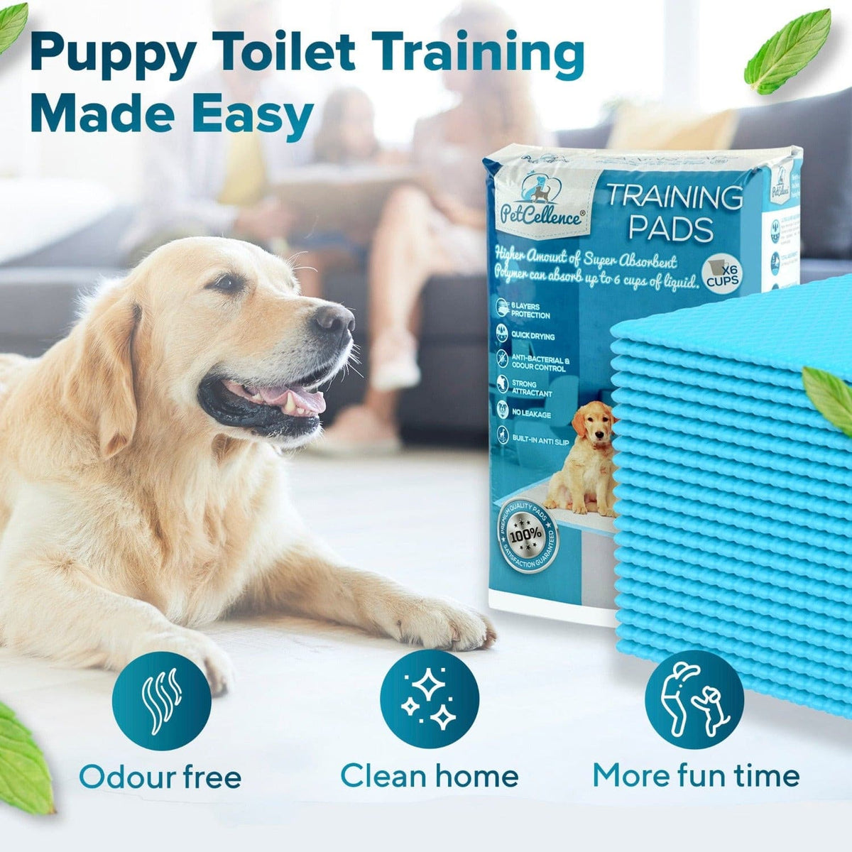 PetCellence puppy pads in use for toilet training
