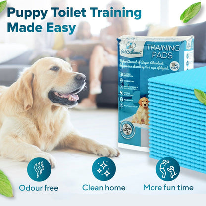 PetCellence puppy pads in use for toilet training