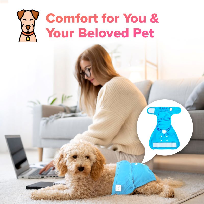 PetCellence dog season pants, machine washable and reusable